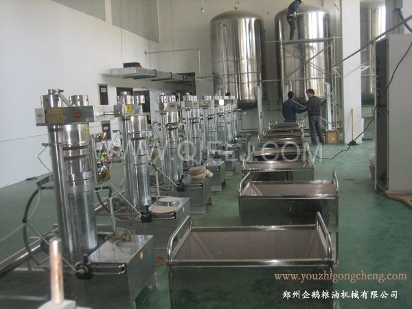 核桃油提取設備 企鵝牌核桃油設備 質優(yōu)價好！(圖2)