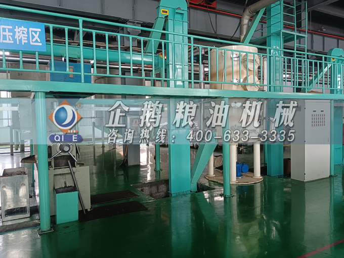 企鵝牌茶籽油雙螺桿榨油機(jī)，用心制造獲得客戶認(rèn)可(圖2)